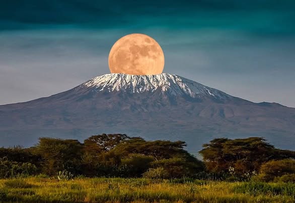 Luxury Safari Travel Is Becoming More Exclusive — Here’s What’s Changing